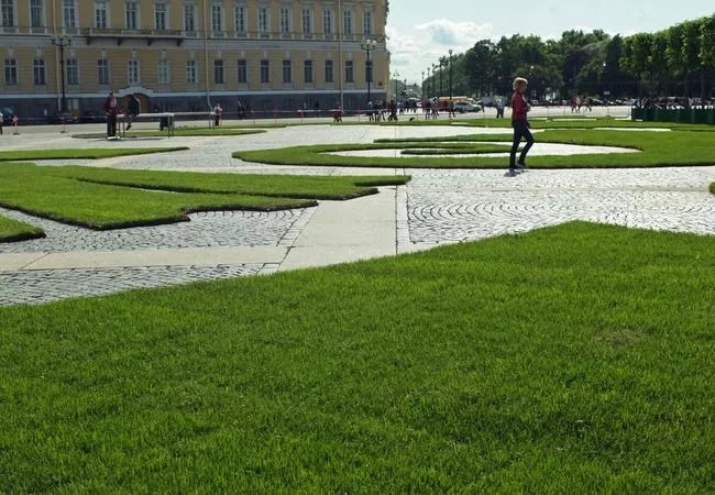 Трава в Петербурге. Life-style