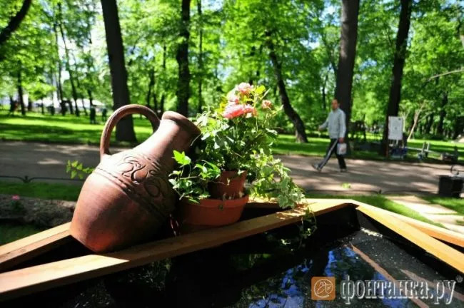 Трава в Петербурге. Life-style