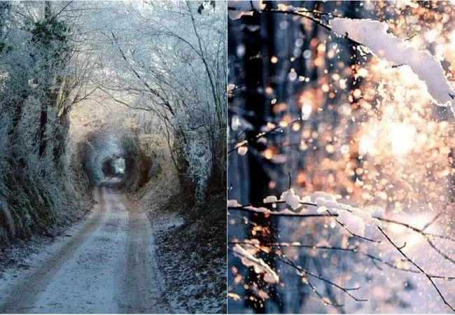Новый год - самый лучший праздник!. Новости компании