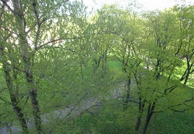 Новая Звезда — по-прежнему лучший дом. Рынок недвижимости