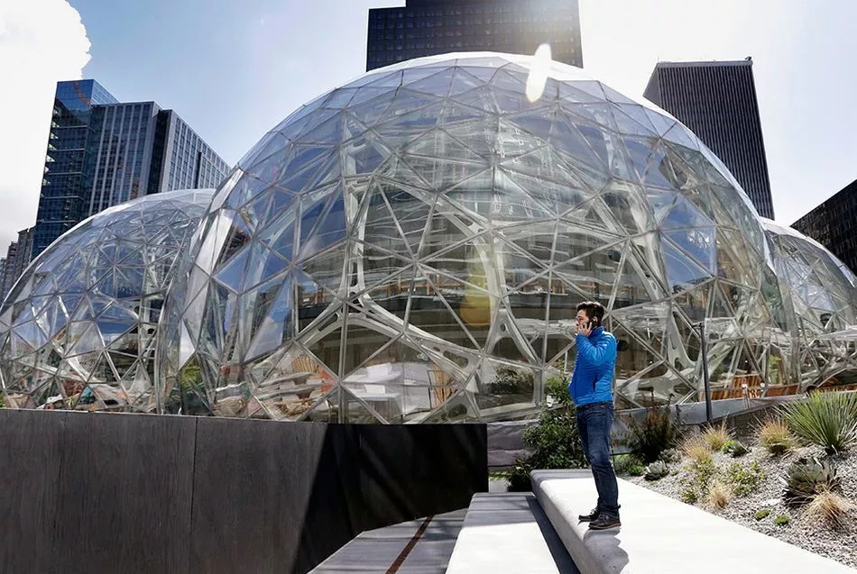 Большие шары компании Amazon. Life-style Большие шары компании Amazon. Life-style