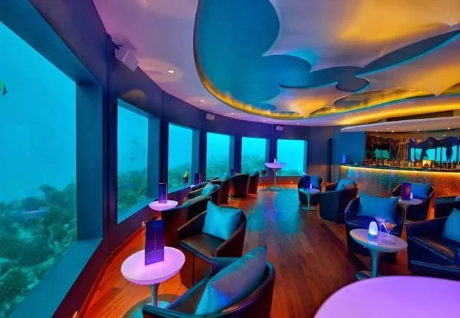В ПУЧИНЕ МОРСКОЙ. Life-style