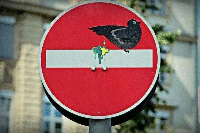 СТОП! Это стрит-арт. Life-style