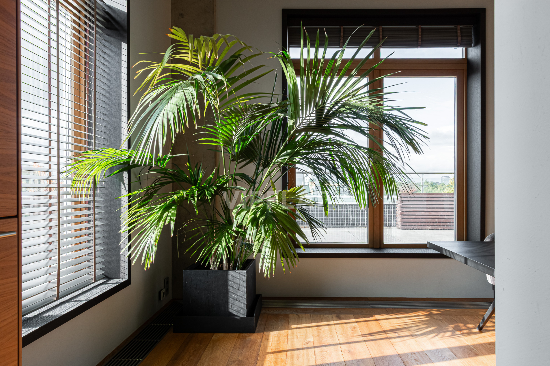 Свет со всех сторон Продажа квартиры 227м² 'Смольный проспект' Смольный пр., 17 Свет со всех сторон Продажа квартиры 227м² 'Смольный проспект' Смольный пр., 17