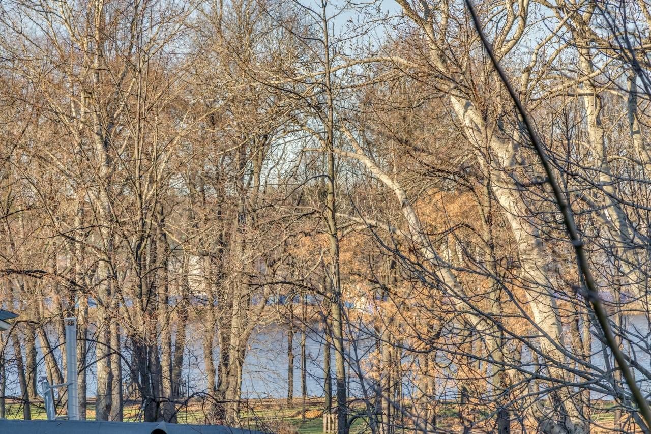 Сквозь кроны видна вода Продажа квартиры 65м² 'Академика Павлова, 16Б' Академика Павлова ул., 16Б Сквозь кроны видна вода Продажа квартиры 65м² 'Академика Павлова, 16Б' Академика Павлова ул., 16Б