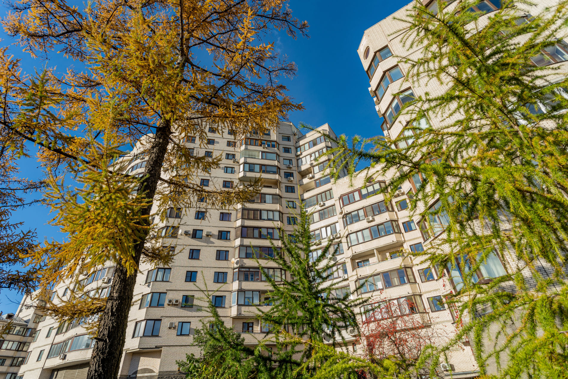 Много зелени вокруг Продажа квартиры 154м² 'Савушкина, 36' Савушкина ул., 36