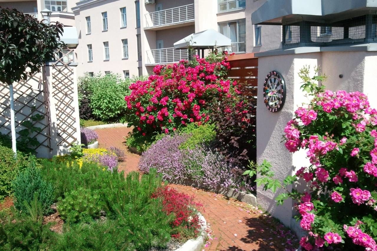 8 этаж, терраса, солнце, розы Продажа квартиры 129м² 'Петроградский эталон' Петрозаводская ул., 13 8 этаж, терраса, солнце, розы Продажа квартиры 129м² 'Петроградский эталон' Петрозаводская ул., 13