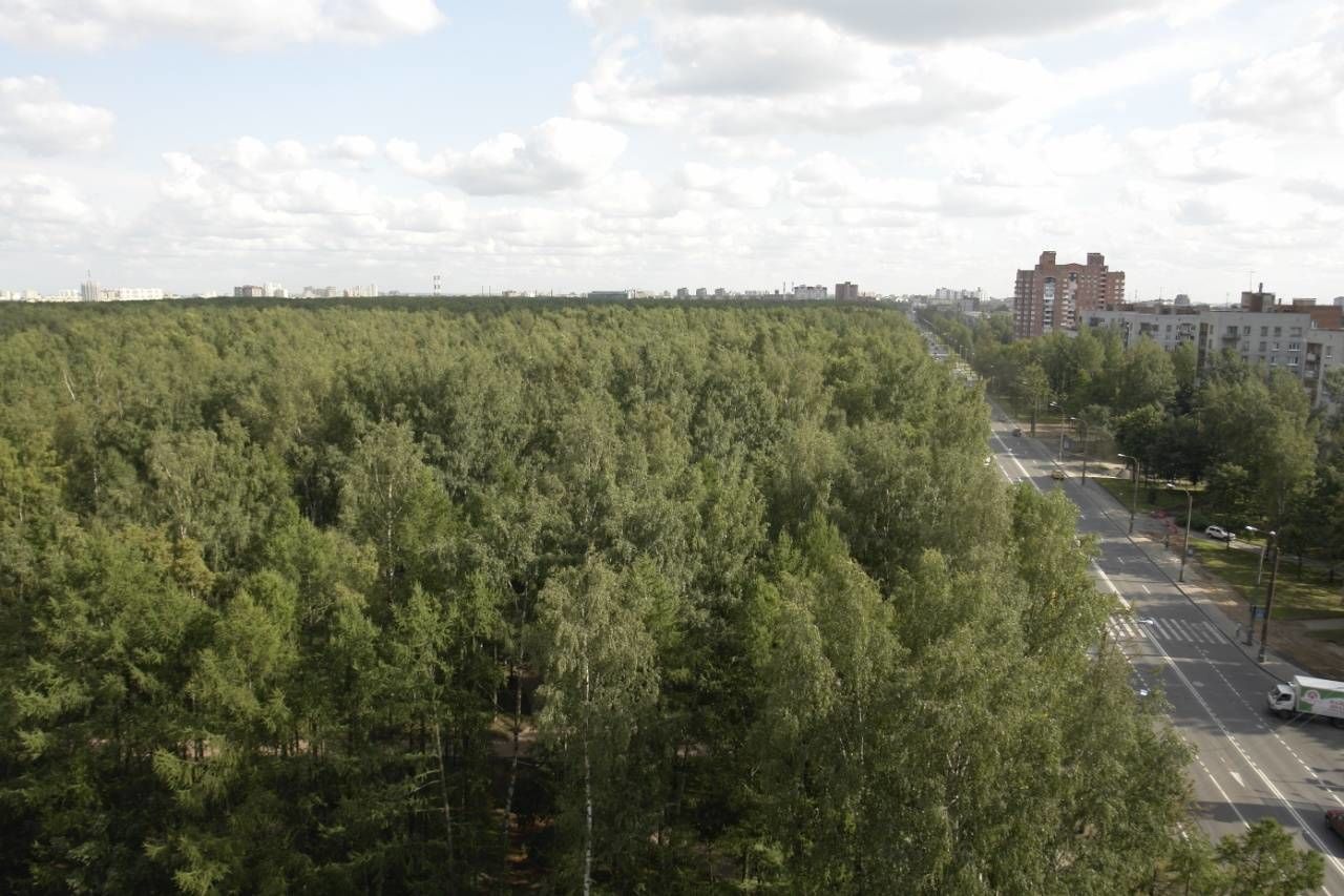 Вид из окон Продажа квартиры 180м² 'Тореза, 71' Тореза пр., 71 к. 1