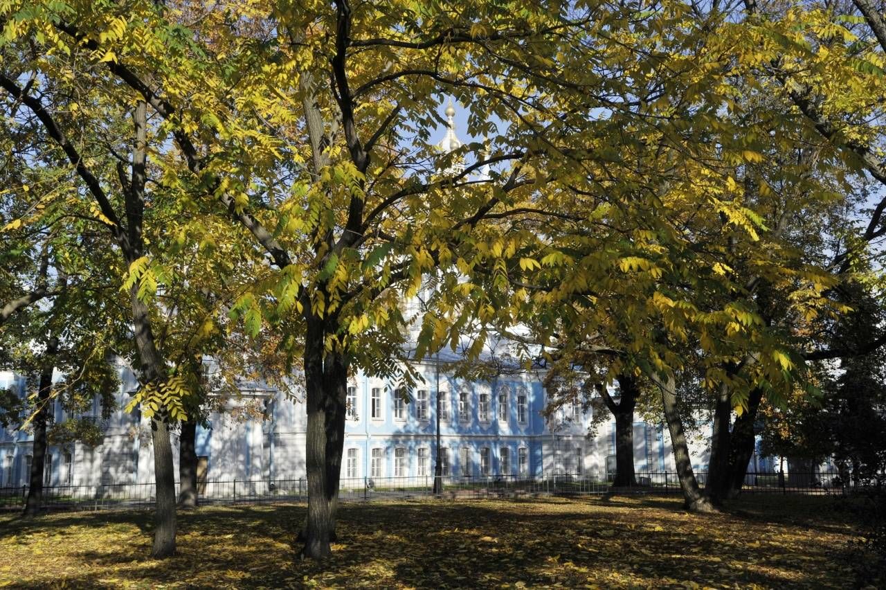 В парке Продажа квартиры 102м² 'Дом профессоров Смольного' Смольный пр., 6