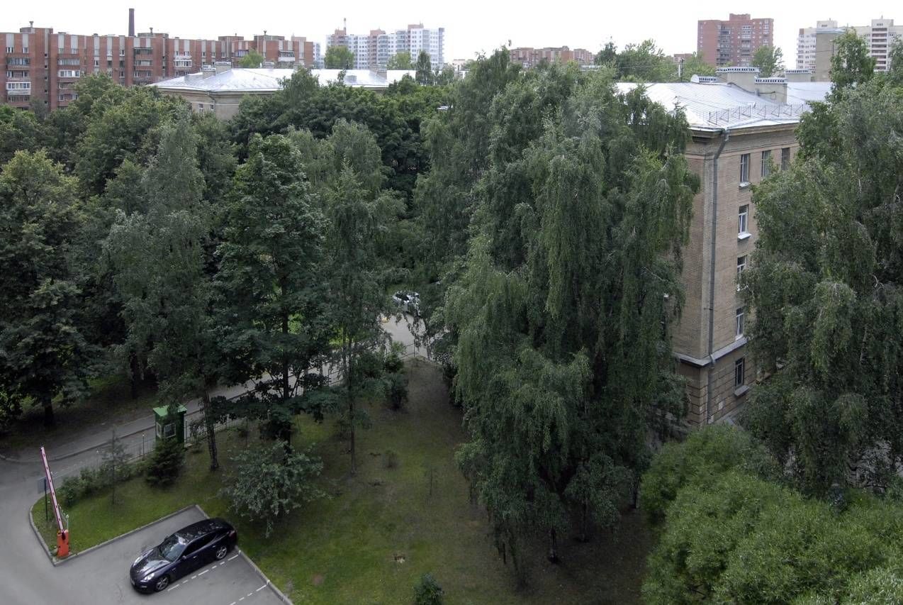 Вид из окон в зеленый двор Продажа квартиры 202м² 'Курчатова, 6' Курчатова ул., 6 к. 4