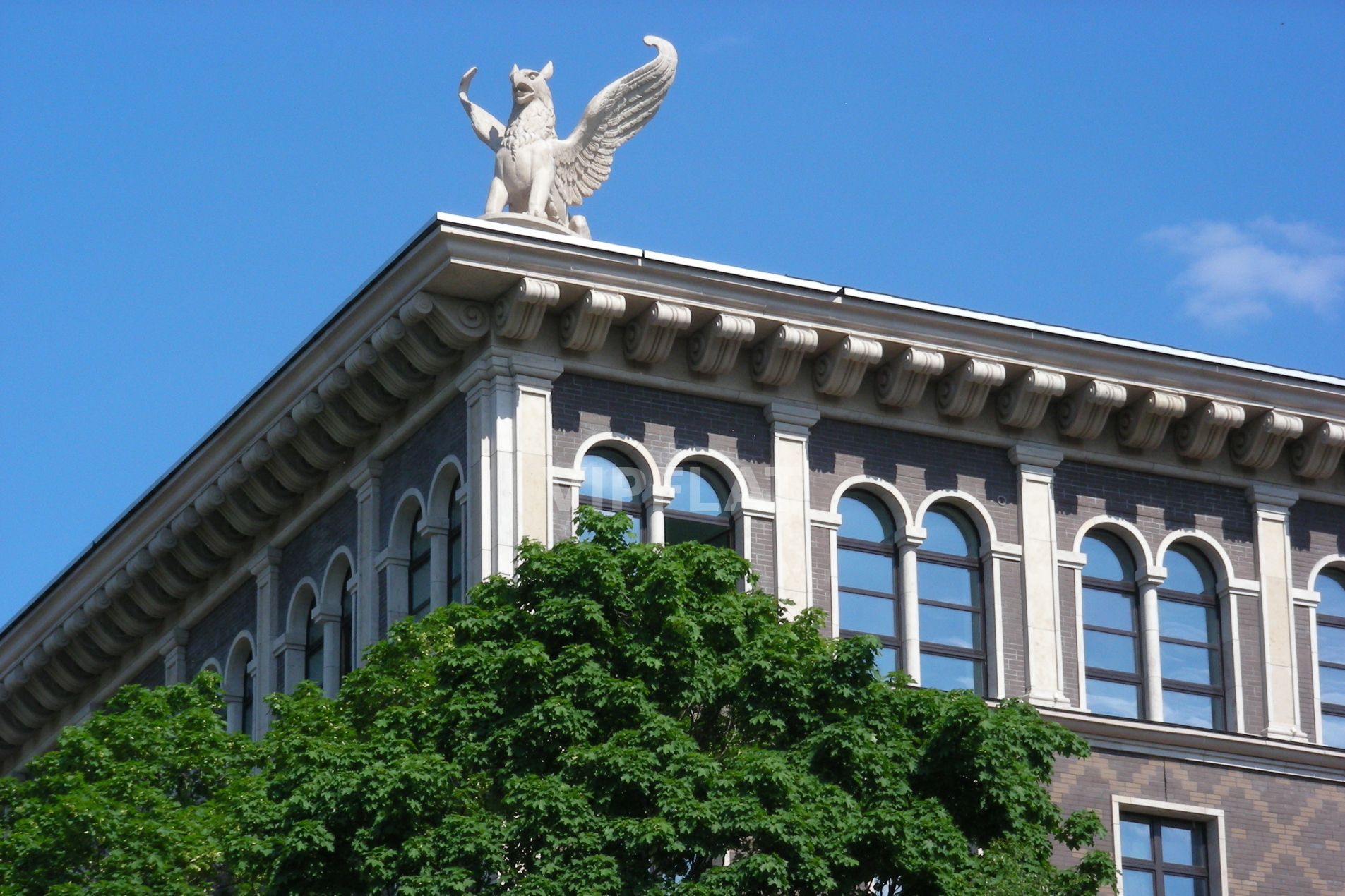 Дом с грифонами 'Венеция' Депутатская ул., 26