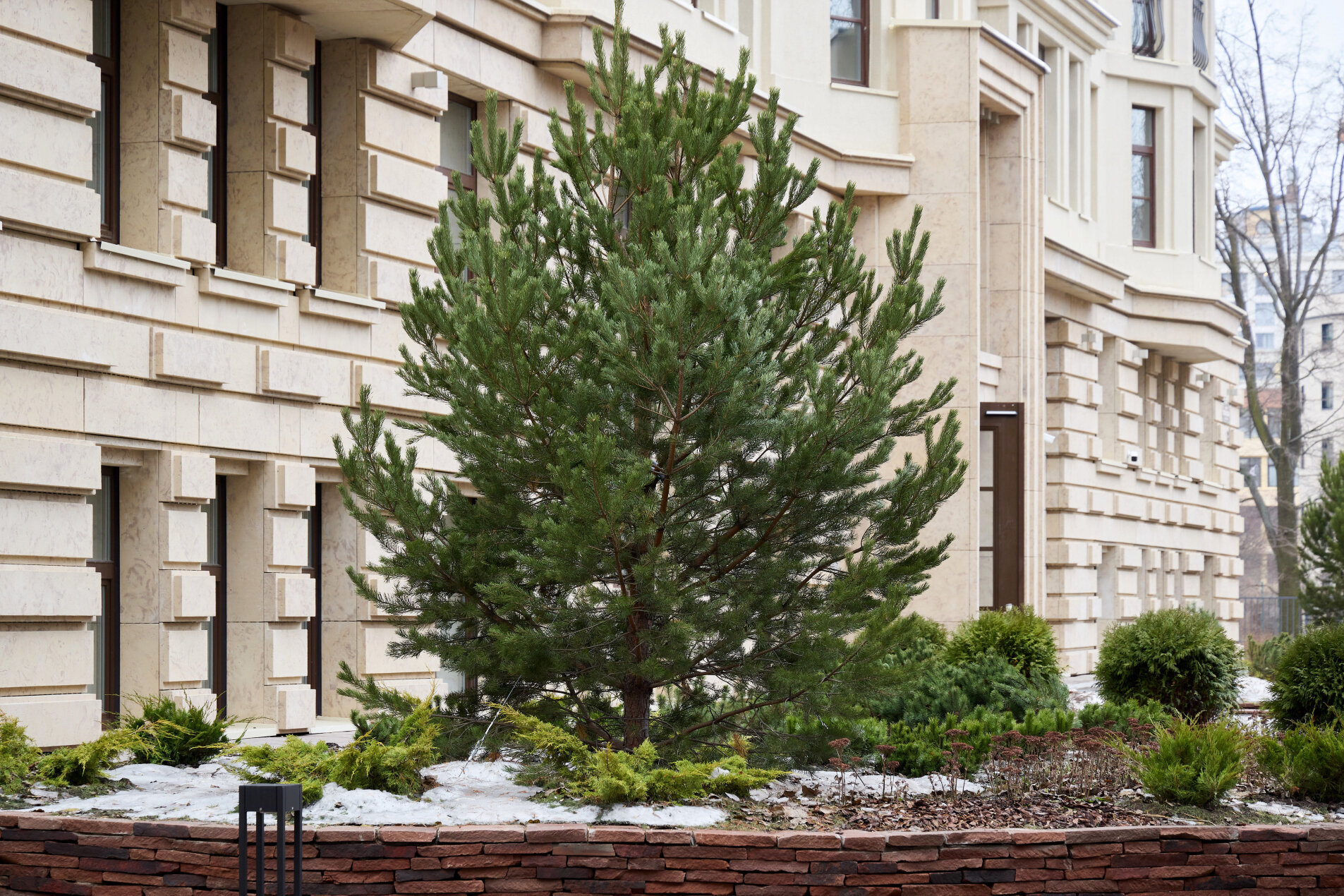 Много зелени вокруг 'iD Moskovskiy residence & SPA' Московский пр., 72 Много зелени вокруг 'iD Moskovskiy residence & SPA' Московский пр., 72
